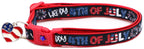 Happy Fourth of July Breakaway Cat Collar-2